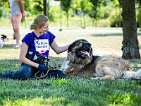 Adoptuj Warszawiaka  Wydarzenie promujące adopcję zwierząt. Organizator: Schronisko dla Bezdomnych Zwierząt "Na Paluchu". 18 sierpnia 2019, Park Raszyński w Raszynie. : park raszyński, adoptuj warszawiaka, na paluchu, schronisko dla zwierząt, centrum warszawy, raszyn
